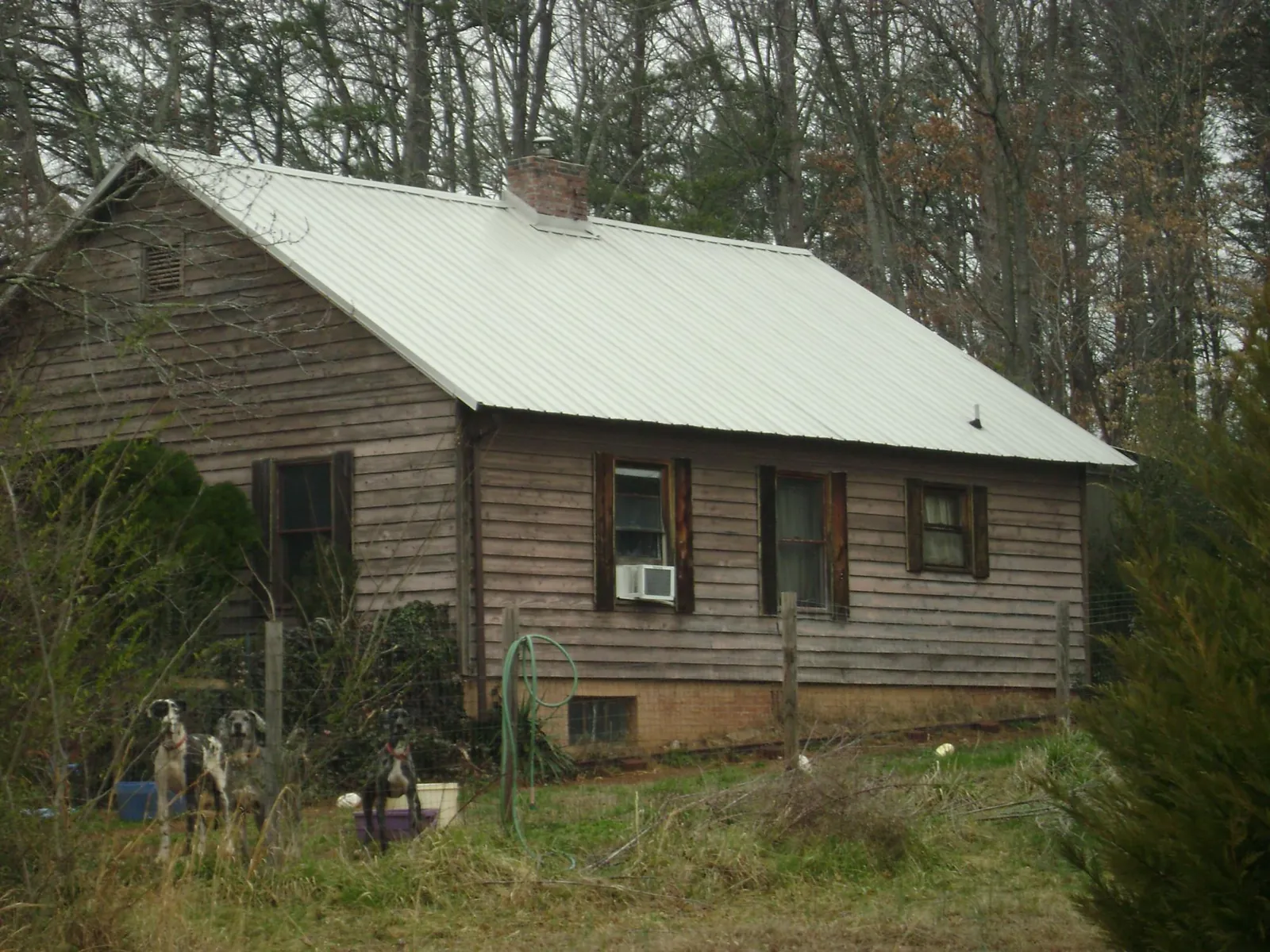 White metal roof on an old wood sided farmhouse, from a Asphalt Shingle Roof Repair job in Williamsville